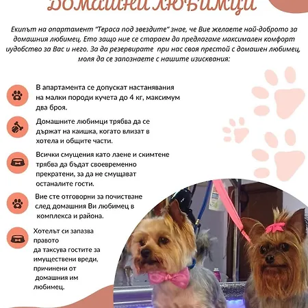 Апартаменты Terrace Under The Stars *