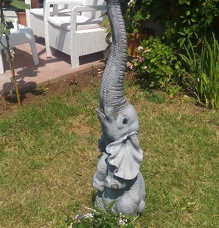 Апартаменты Terrace Under The Stars *