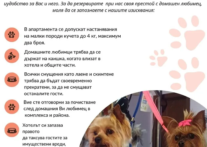 公寓 Terrace Under The Stars *