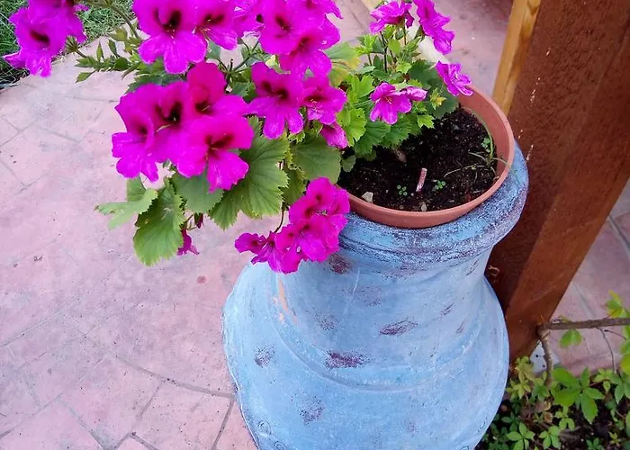 公寓 Terrace Under The Stars