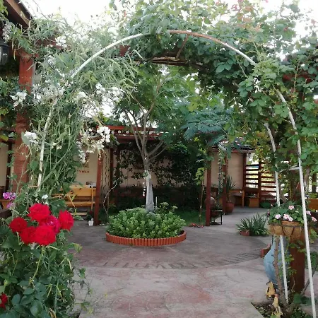 Terrace Under The Stars شقة *