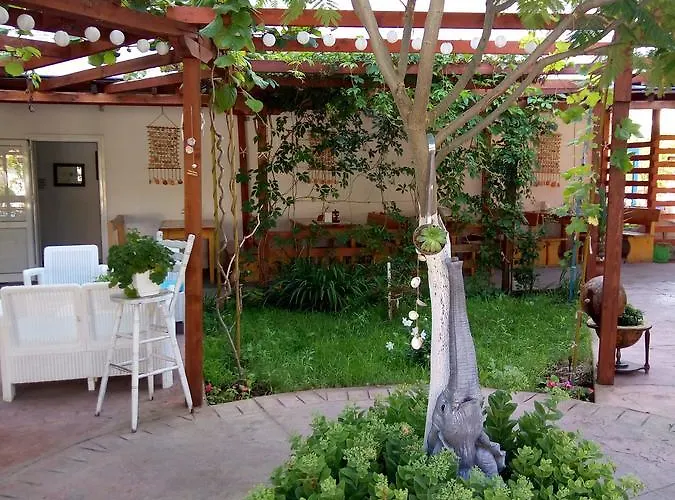 Daire Terrace Under The Stars